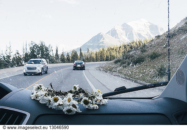 Gänseblümchen auf dem Armaturenbrett eines Autos