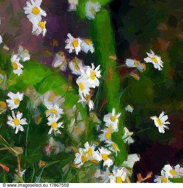 Gänseblümchen floral digitale Malerei  gemischte Medien absrtact Hintergrund