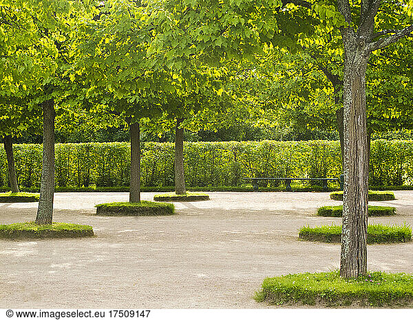 Gärten  Bäume  Hecken und Wege von Schloss Peterhof