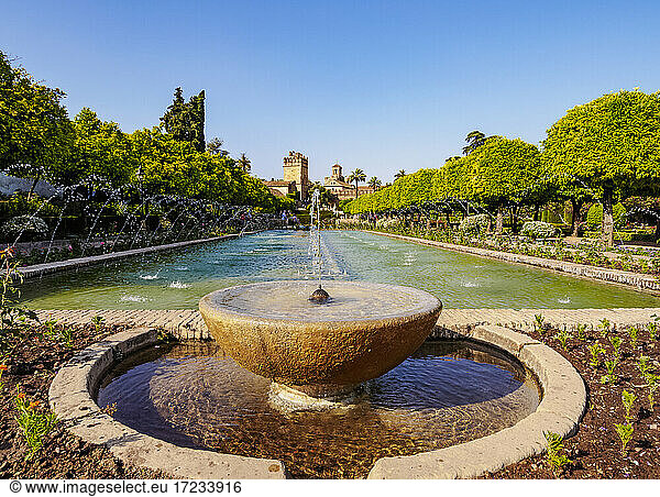 Gärten des Alcazar de los Reyes Cristianos (Alcazar der christlichen Könige)  UNESCO-Weltkulturerbe  Cordoba  Andalusien  Spanien  Europa