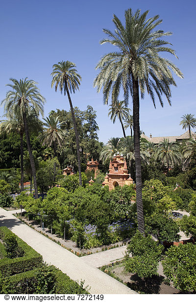 Gärten des Real Alc·zar  UNESCO Weltkulturerbe  Sevilla  Andalusien  Spanien  Europa