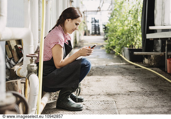 Gärtnerin Textnachrichten auf dem Handy im Gewächshaus
