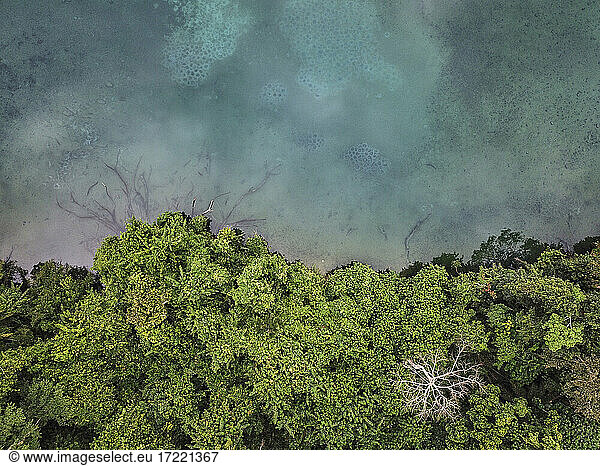 Gabun  Luftaufnahme des bewaldeten Ufers des Lac Bleu