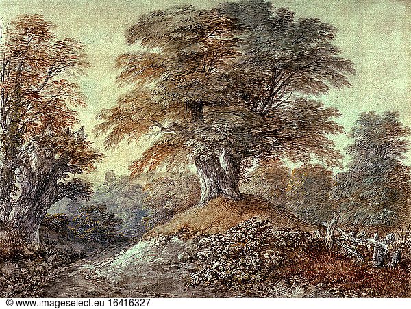 Gainsborough  Thomas 1727–1788. “Study of Beech Trees at Foxley   1760. Pencil  brown chalk  watercolour and opaque watercolour  28.7 × 38.9cm.
Manchester  Whitworth Art Gallery.