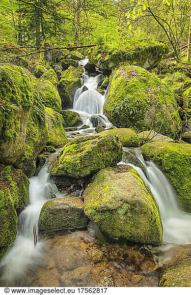 Gaisholl Waterfalls  Sasbachwalden  Black Forest  Baden-Wurttemberg  Germany  Europe