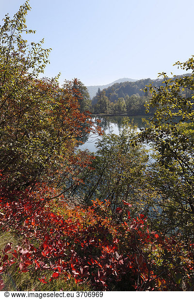 Galovac-See im Herbst  Nationalpark Plitwitzer Seen  Plitvicer Seen  Plitvicka Jezera  Lika-Senj  Kroatien  Europa
