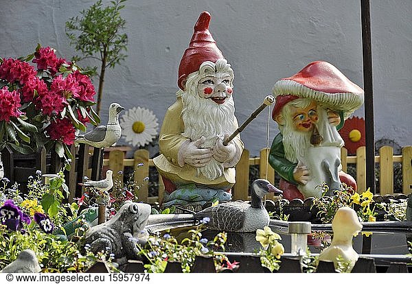 Garden gnome as angler  Büches near Büdingen  Hesse  Germany  Europe