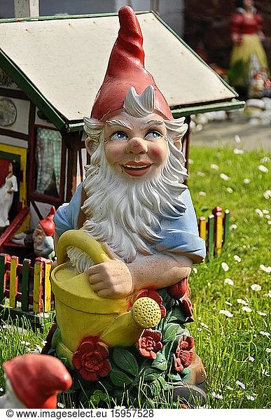 Garden gnome as gardener  Büches near Büdingen  Hesse  Germany  Europe