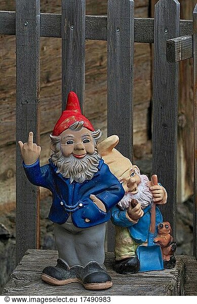 Garden gnome gives the finger
