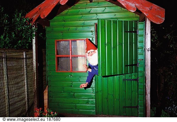 Garden gnome inside shed