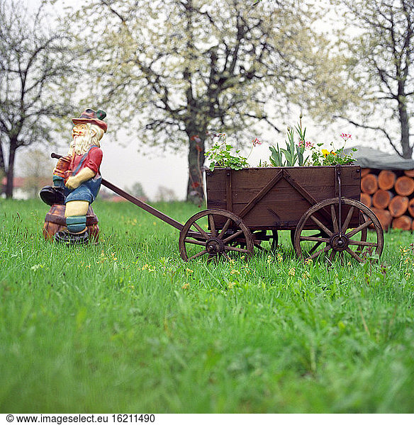 Garden gnome pulling cart in garden