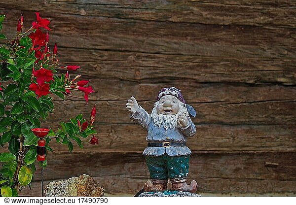 Garden gnome with raised arm