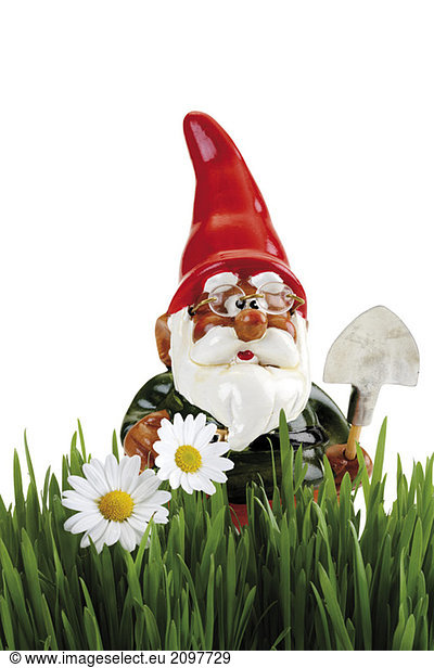 Garden gnome with spade  grass in foreground