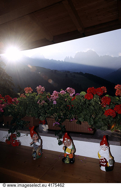 Garden gnomes  Dolomites  South Tyrol  Italy
