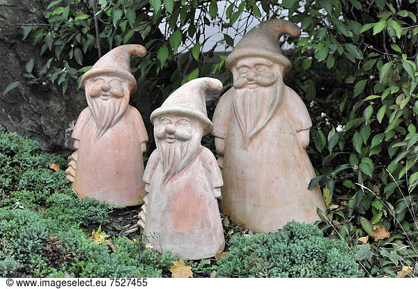 Garden gnomes  vineyard estate  Lauffen am Neckar  Baden-Wuerttemberg  Germany  Europe