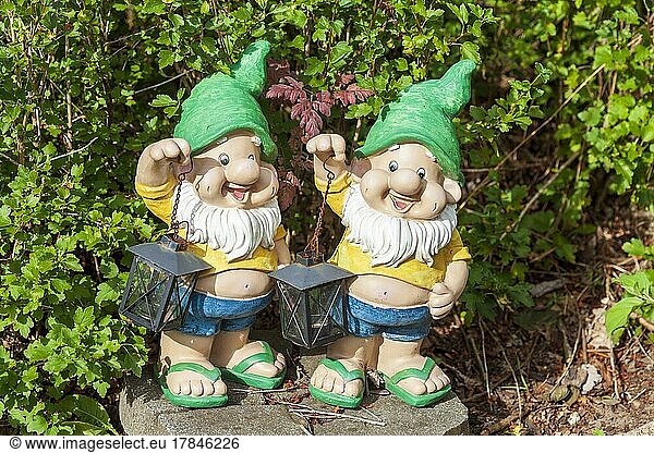 Garden gnomes with lanterns  Germany  Europe