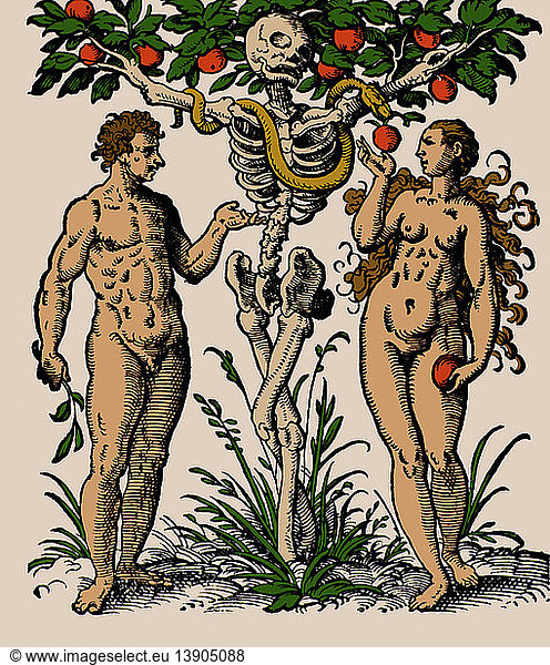 Garden of Eden  Adam and Eve  1580