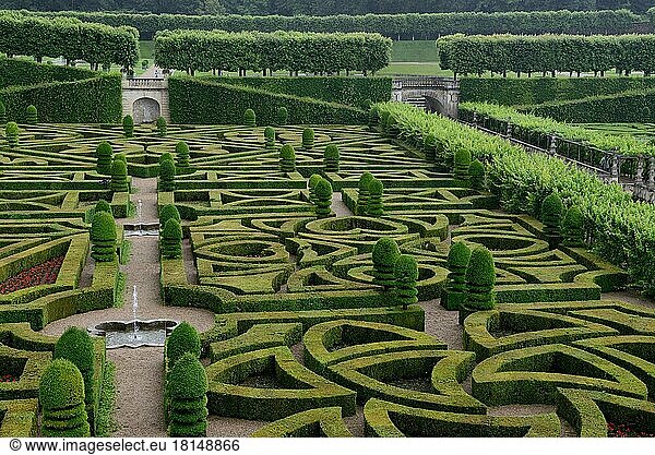 Garden of Villandry Castle  Chateau de  Indre-et-Loire  Loire Valley  Loire Valley  Centre  France  Europe