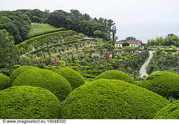 Garden on a hill  South Korea.