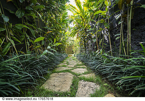 garden path at luxury resort in Bali
