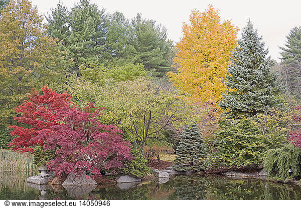 Garden Pond in Fall