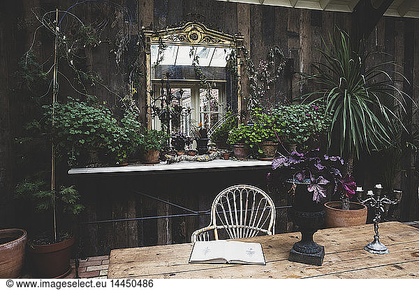 Garden room with wooden walls  rustic wooden table and antique mirror with ornate gilded frame  selection of indoor plants on shelf.