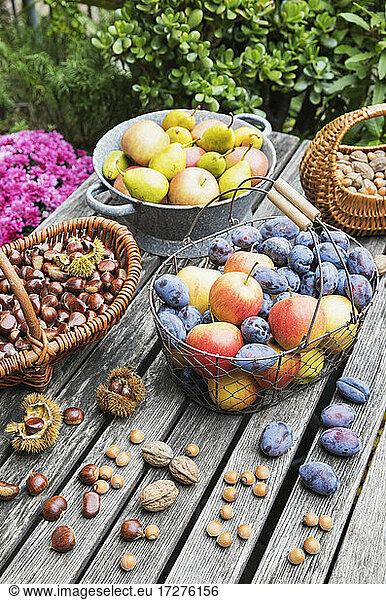 Garden table filled with autumn harvest of nuts and fruits