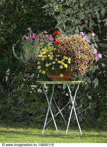Garden table with flowers  flower pot