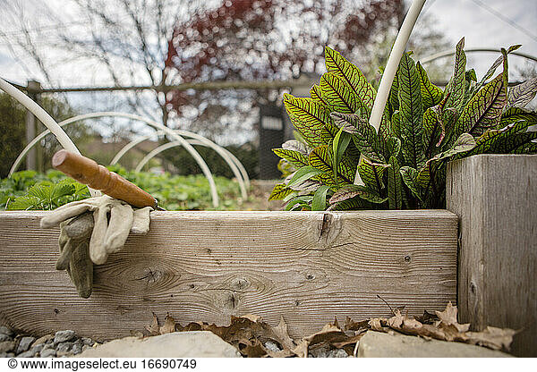 garden tools and gloves lay in raised garden plant filled with plants