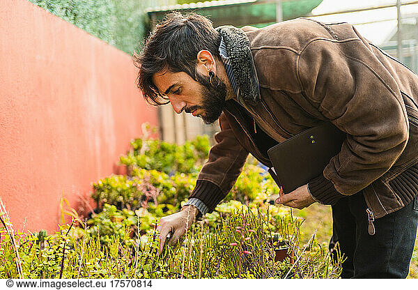 gardener checking the condition and growth of plants at home