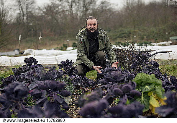 Gardener sitting in vegetable bed with Red Rubine Brussels sprouts