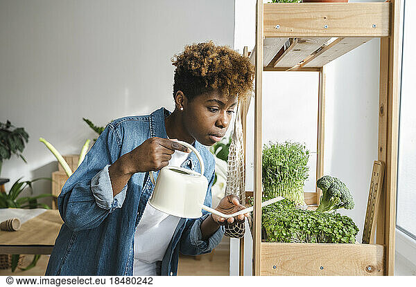 Gardener watering green plants on shelf at home