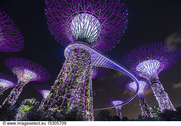 Gardens by the Bay with Supertree Grove and skywalk at night  Singapore