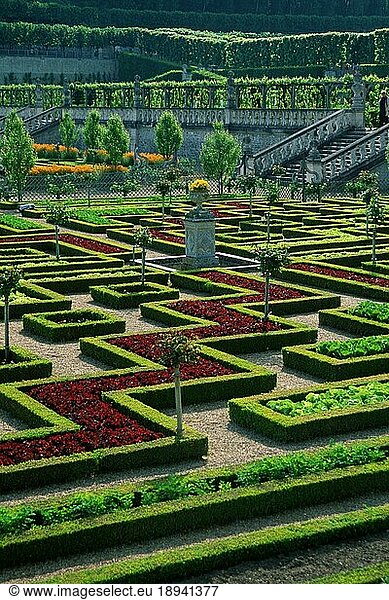 Gardens  Loire Valley  Chateau de  Villandry Castle  Villandry  Centre  France  Europe