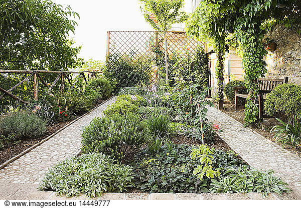 Garten im Hinterhof