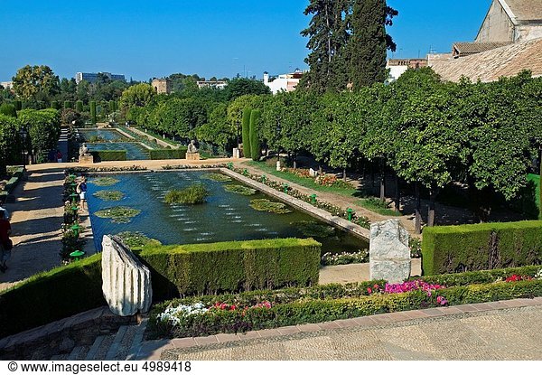 Garten  König - Monarchie  Alcazar von Sevilla  Andalusien  katholisch  Spanien