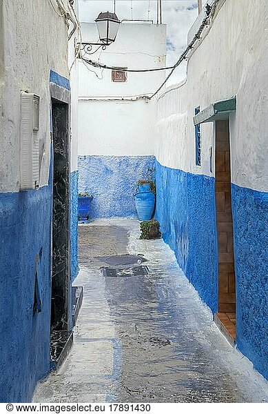 Gasse in der Kasbah des Oudaias  Altstadt von Rabat  Marokko  Afrika