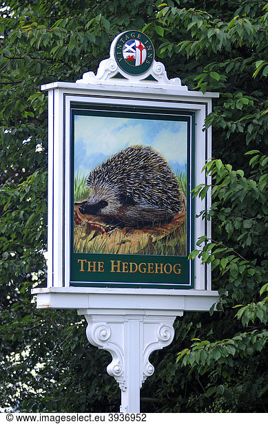 Gasthausschild The Hedgehog  Stafford Road  Lichfield  Staffordshire  England  Großbritannien  Europa