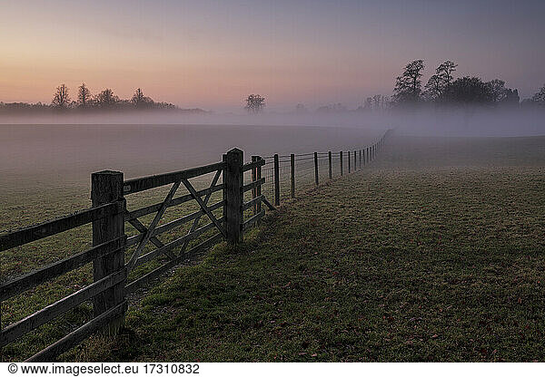 Gated field filled with mist at sunset  Chelford  Cheshire  England  United Kingdom  Europe