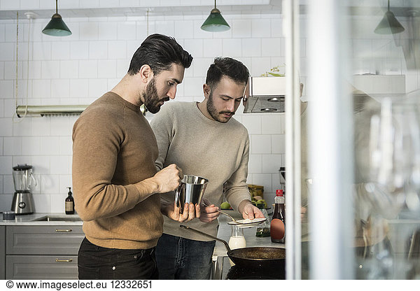Gay couple preparing food in kitchen at home