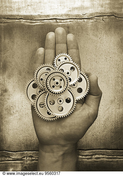 Gears in Palm of Hand