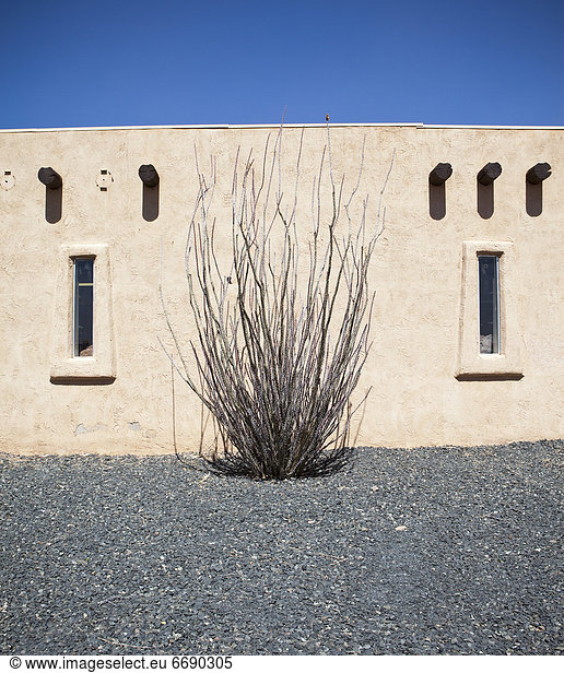 Gebäude  Lehmziegel  Kaktus