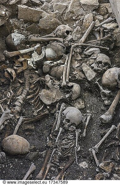 Gebeine  bei neuzeiltlichen Ausgrabungen gefunden am Dom St. Peter  Regensburg  Oberpfalz  Bayern  Deutschland  Europa