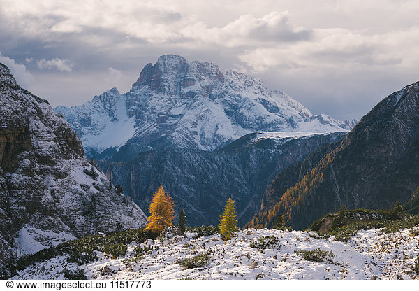 Gebiet der Drei Zinnen  Südtirol  Dolomiten  Italien