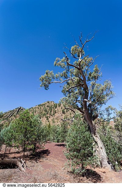 Gebirge Ansicht Alphabet South Australia