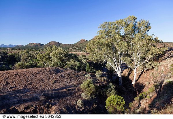 Gebirge  Geologie  Absperrung  Ansicht  Entdeckung  Alphabet  Internet  wichtig  Schlucht  South Australia