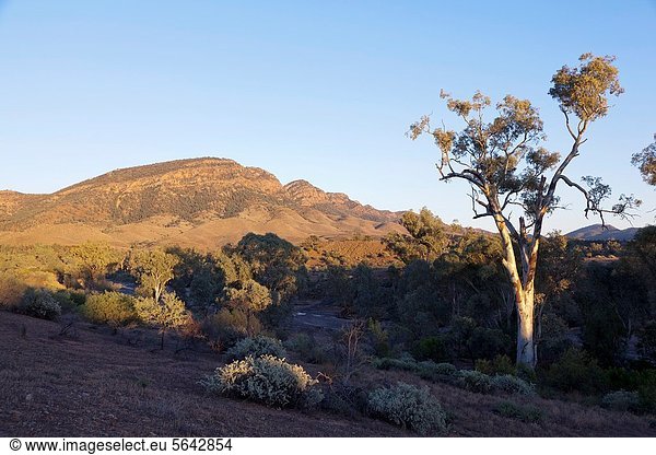 Gebirge  Idee  Landschaft  Künstler  1  wichtig  Name  Jahrhundert  South Australia