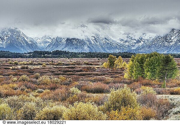 Gebirgskette  Höhenzug  Bergzug  View of mountain range and trees in autumn colour  Grand Teton N. P. Wyoming (U.) S. A. September