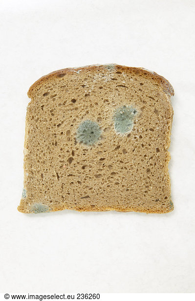 Geformtes Brot