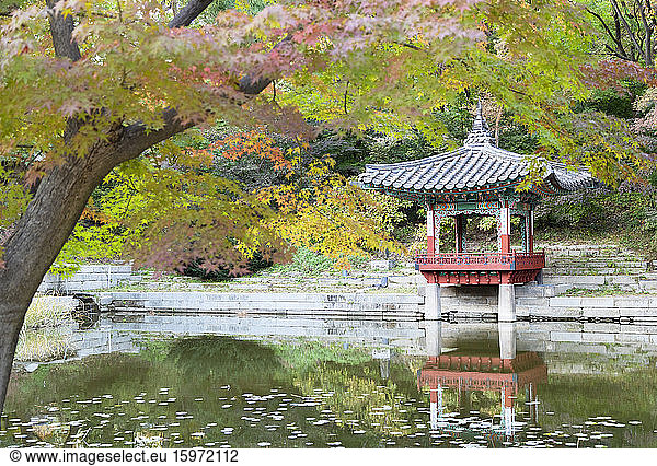 Geheimer Garten im Changdeokgung-Palast  UNESCO-Weltkulturerbe  Seoul  Südkorea  Asien